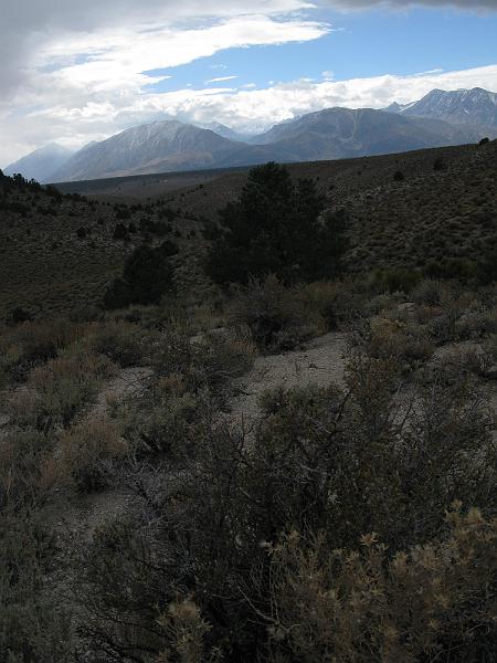 IMG_1525.JPG - Tried to get interesting small foreground stuff, mid foreground, and background all in the same shot.