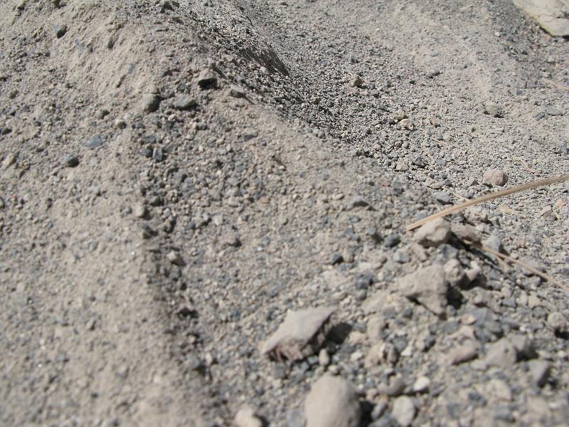 IMG_1550.JPG - Like a mix of 80% flour and 20% pea gravel.