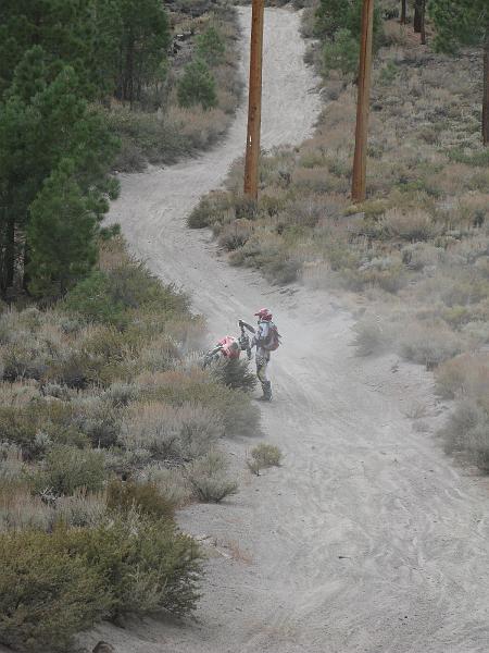 IMG_1558.JPG - How to pull your bike out of a pucker bush.