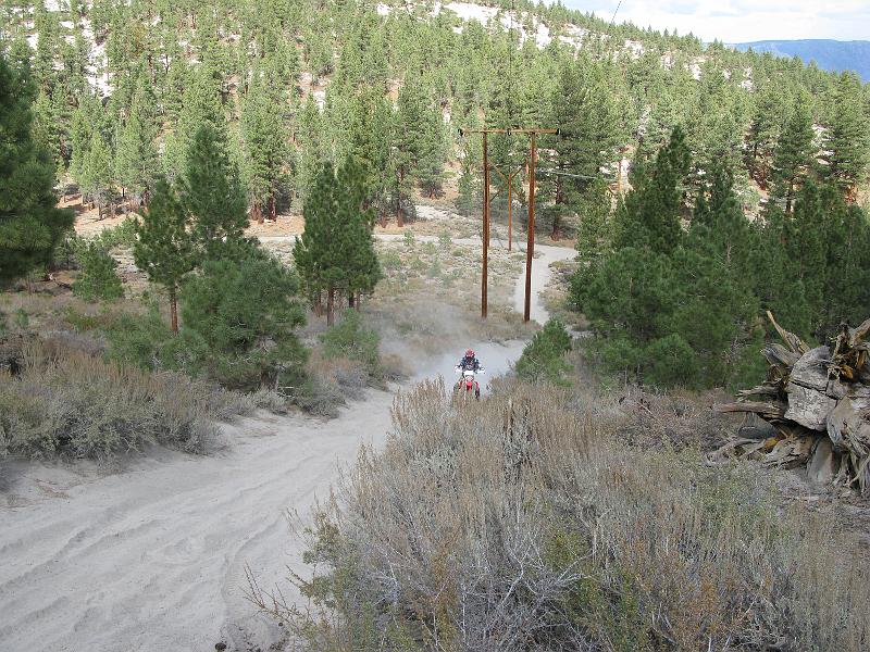 IMG_1581.JPG - Working hard to keep it on the trail.