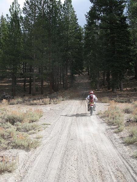 IMG_1595.JPG - Heading into the pines.