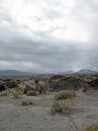 IMG_1501