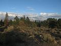 IMG_1620