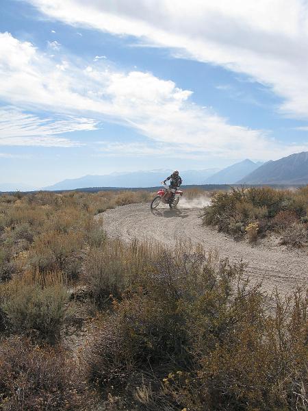 IMG_1660.JPG - Not much of a roost, that.