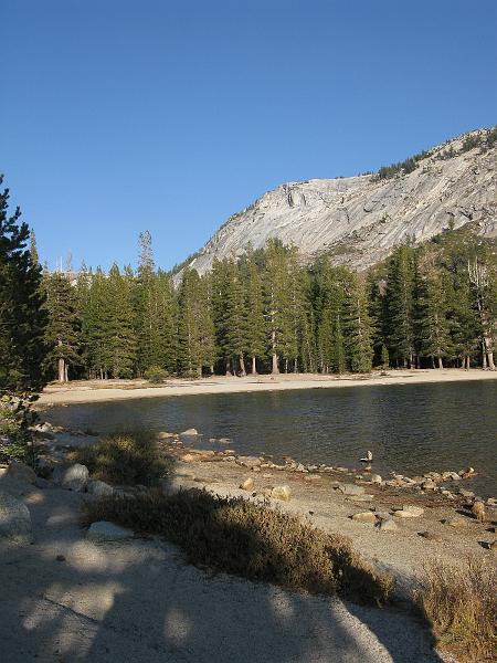 IMG_1695.JPG