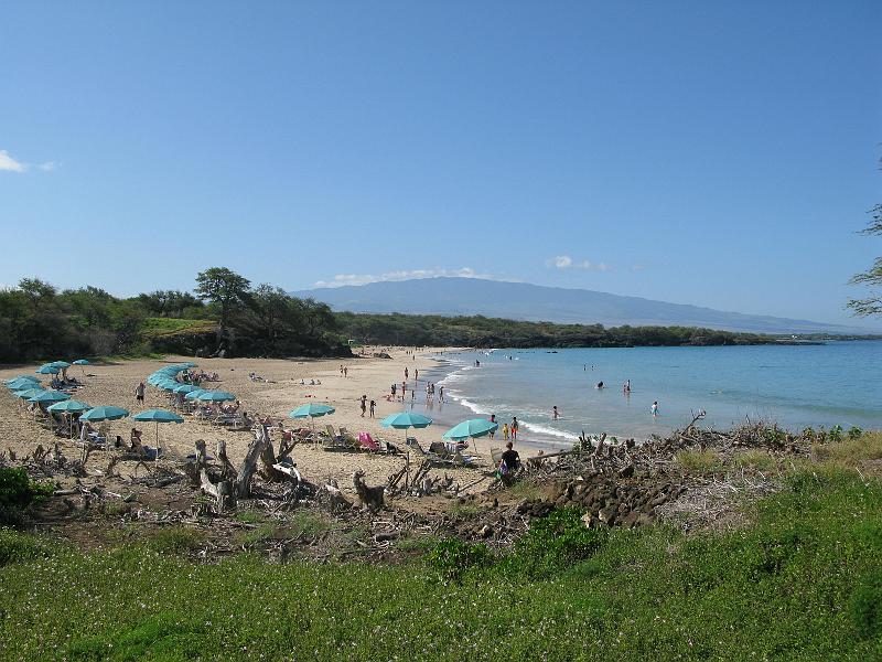 IMG_2141.JPG - Mauna Loa over the beach. View from the public access trail.