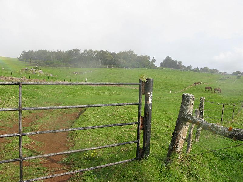 IMG_2188.JPG - Would have opened the gate and gone through if not for the horses penned in there.