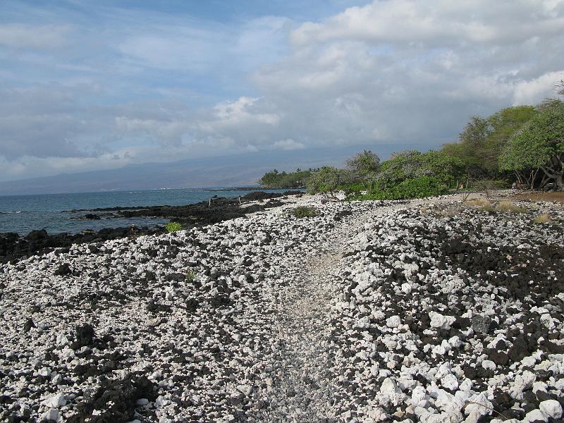IMG_2218.JPG - Looking back. Soon to be turning back. The trail ends at the grounds of the Fairmont Orchid hotel.
