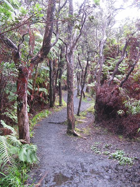 IMG_2254.JPG - The trail is fairly exotic as well on its own, never mind the view.