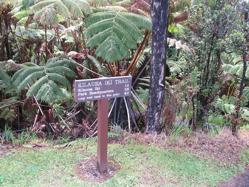 IMG_2264.JPG - The Iki trail is the real winner here.
