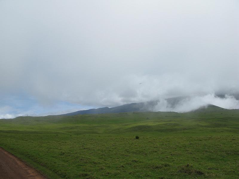 IMG_2366.JPG