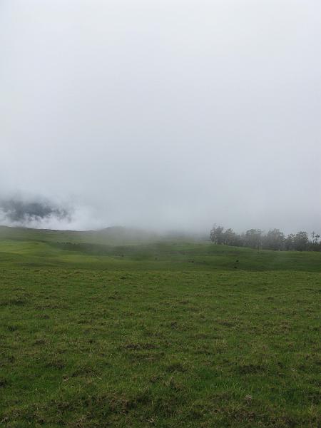 IMG_2368.JPG - Up into the clouds now.