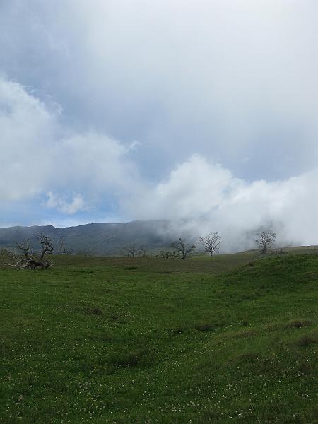IMG_2385.JPG