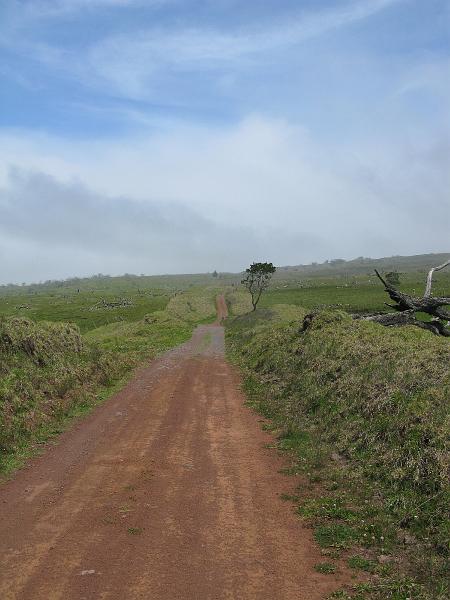 IMG_2393.JPG - Just one more hill...