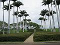 IMG_2115
