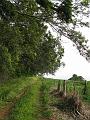 IMG_2185