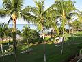 IMG_2202