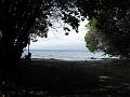 IMG_2208