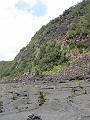 IMG_2277