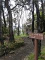 IMG_2297