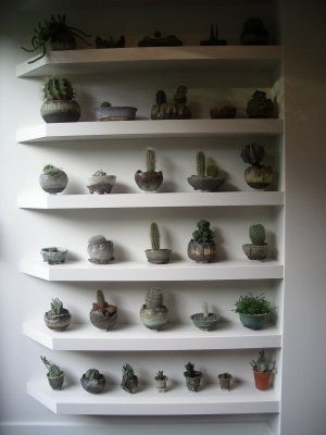 custom+built+shelves.jpg