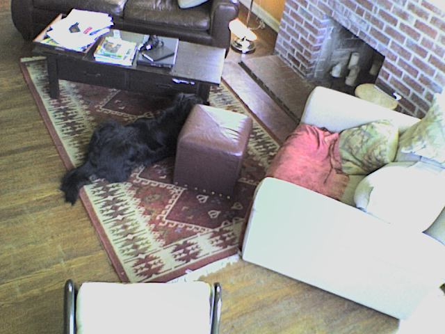 squish2.jpg - A new variant on squishing himself between things. Just his head this way.
